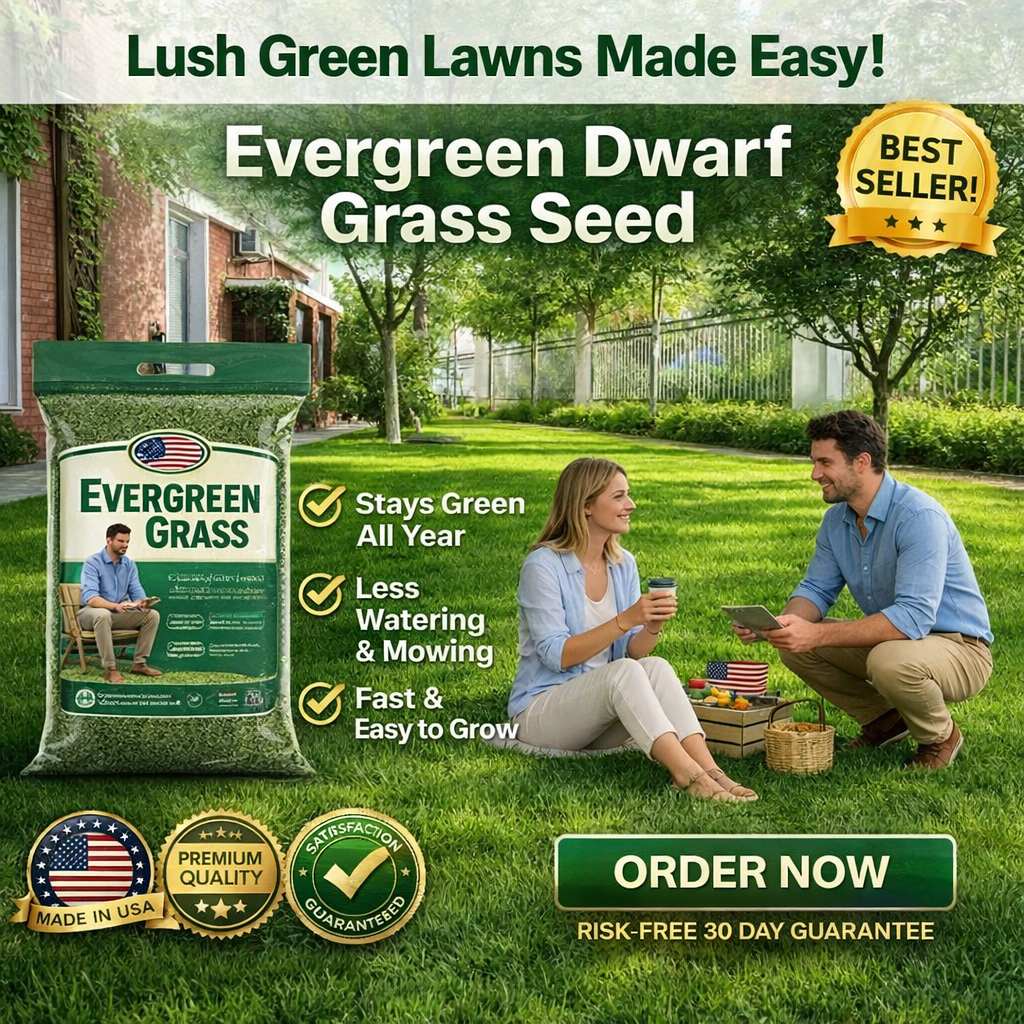 /69df3577283464000a6f611f/2026/04/16/product-img-69e11f2d373c02bd69cc092b.png